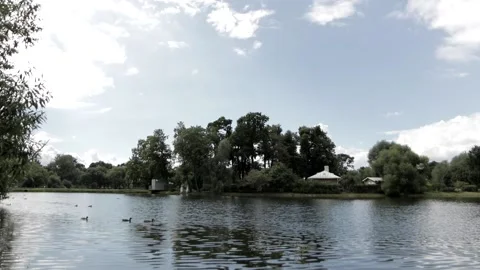 Ducks on the pond Stock Footage 146636116