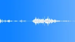 Ducks on Pond Sound Effect