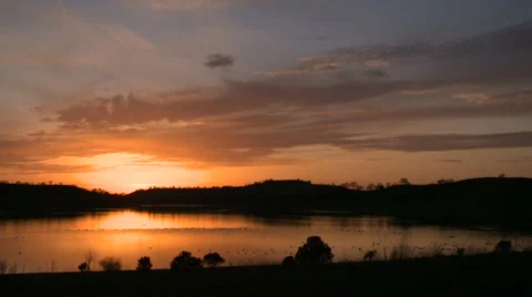 Ducks pond sunset 04 HD Stock Footage 5981186