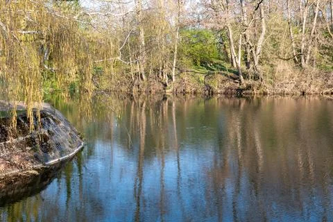 Ducks in a river 库存照片