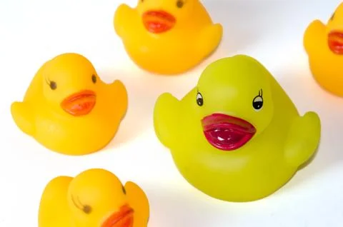 Ducks in a row Foto stock