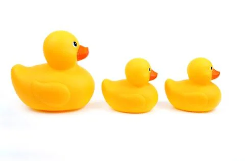 Ducks in a row Stock Photos