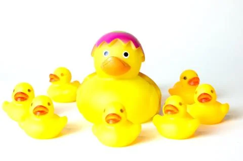 Ducks in a Row Stock Photos