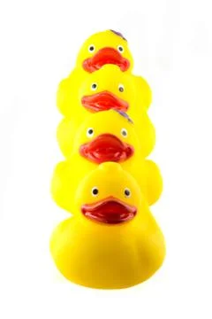 Ducks in a row 写真素材