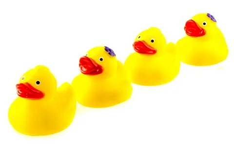 Ducks in a row 写真素材