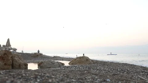 Ducks on the seashore. Morning Stock Footage 117802410