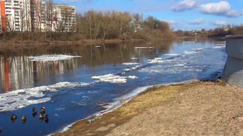 Ducks on spring ice on the river Stock Footage 267528634