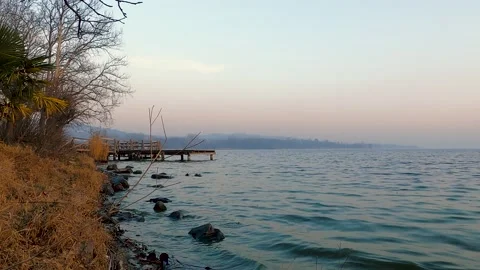 Ducks at sunset Stock Footage 199759182