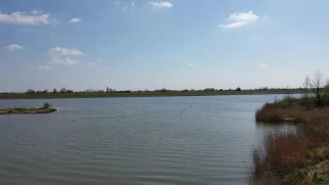 Ducks swim in the river with clear clouds Stock Footage 153047680