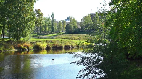 Ducks swim in the river Stock Footage 30580096