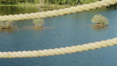 Ducks swimming around the lake during sunset, seen from 30 meter high tower Stock Footage 336806803