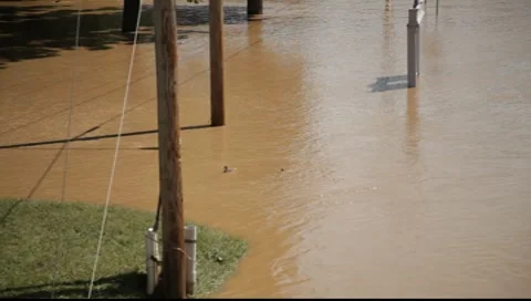 Ducks Swimming in Flood Waters 스톡 동영상 8649357