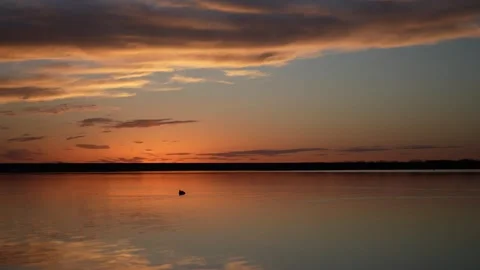 Ducks swimming in a lake during sunset with the colors reflected in the water Stock Footage 300747446