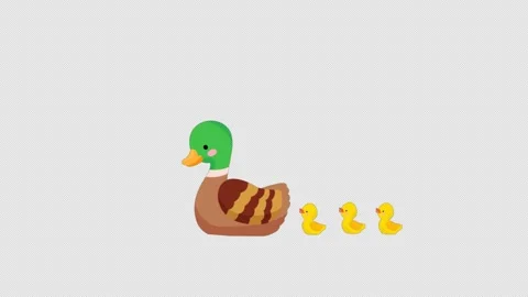 Ducks Swimming In The Lake Stock Footage 281252167