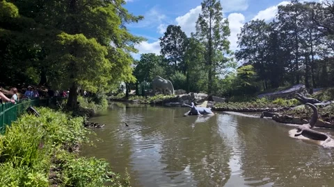 Ducks swimming in a pond in front of the famous Crystal Palace Dinosaurs in Stock Footage 341409487