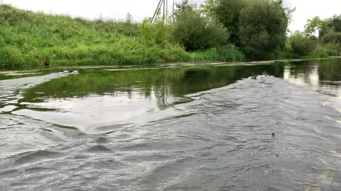 Ducks take off with a running start on the water. Stock Footage 316770711