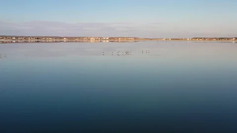 Ducks take off from the water Stock Footage 119160942
