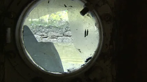 Ducks through a broken porthole Video stock 8805286