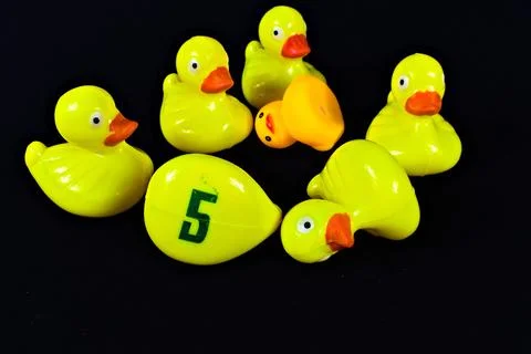 Ducks Turned on Side Black Background Stock Photos
