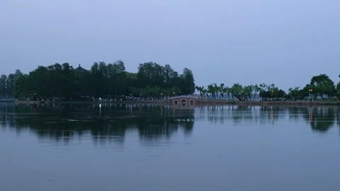 Ducks wading on the lake in the park 스톡 동영상 240095657