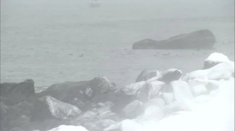 Ducks on water in breezy winter snowfall Stock Footage 47675355