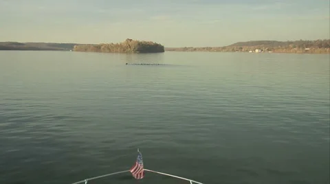 Ducks on the Water 動画素材 923965