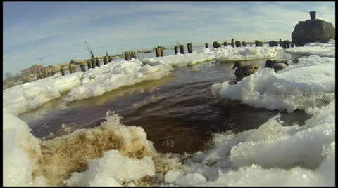 Ducks winter Stock Footage 22479352