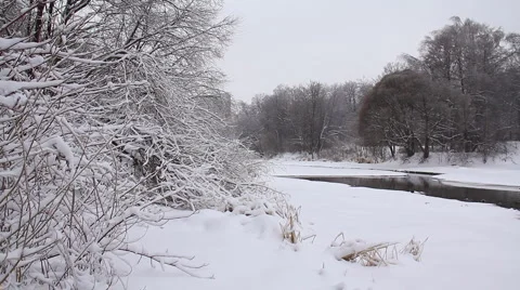 Ducks winter in the water Stock Footage 1002224