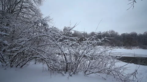 Ducks winter in the water Stock Footage 1002266