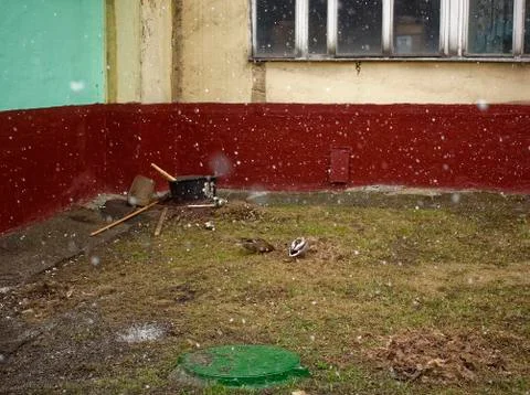 Ducks in the yard of a house in the spring Stock Photos