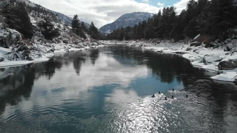 Ducks on the Yellowstone river in winter Stock Footage 166176123