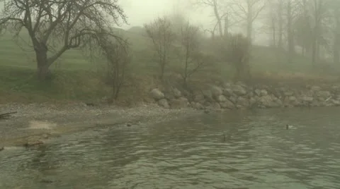 Ducksinthemist 動画素材 10891478