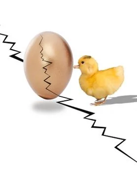 Ducky and Egg. Foto stock
