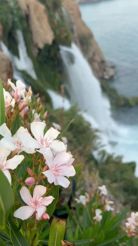 Duden waterfall dropping in Mediterranean Sea in Antalya, Turkey. Stock Footage 337027870