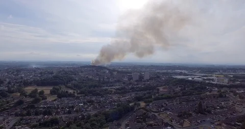 Dudley grass fire Stockbeeldmateriaal 105575655