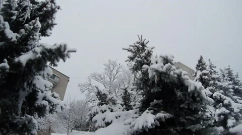 Due to plastered with snow Christmas trees can be seen the top of the five-story Stock Footage 46359079
