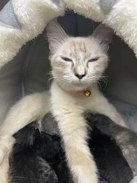 Duel #1 스톡 사진