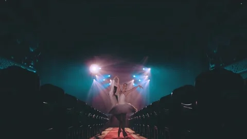 A duet of ballet dancers perform elements of classical ballet. Beautiful flight Stock Footage 205363309