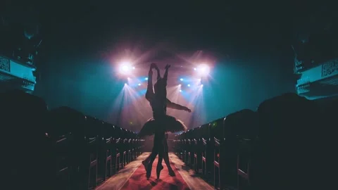 A duet of ballet dancers perform elements of classical ballet. Beautiful flight Stock Footage 205363358
