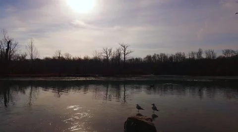 Dufferin Islands Spring  Stock Footage 61887810