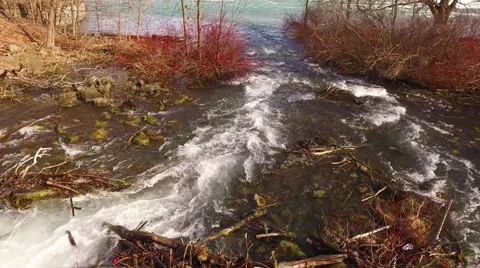 Dufferin Islands Spring  Stock Footage 61888138