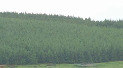 Dufftown Stock Footage 8359479