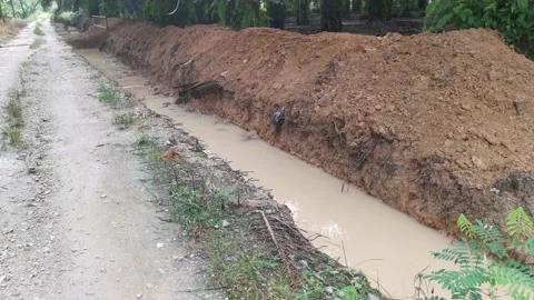 Dug drainage 库存影片 164895432