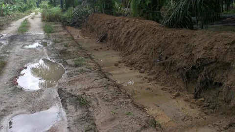 Dug drainage 库存影片 164895448