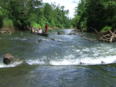 Dugout canoe Stock Footage 3577758