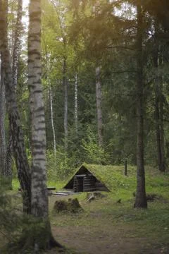 Dugout in the forest. Stock Photos