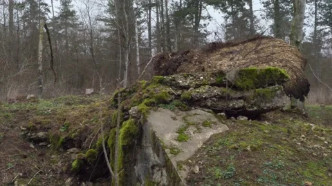 Dugout ft.1 / Command Post n°120 Douaumont Stock Footage 263431933