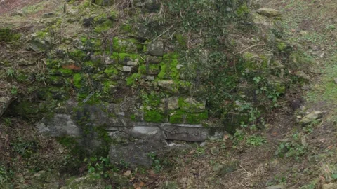 Dugout ft.1 / Command Post n°120 Douaumont Stock Footage 263479626