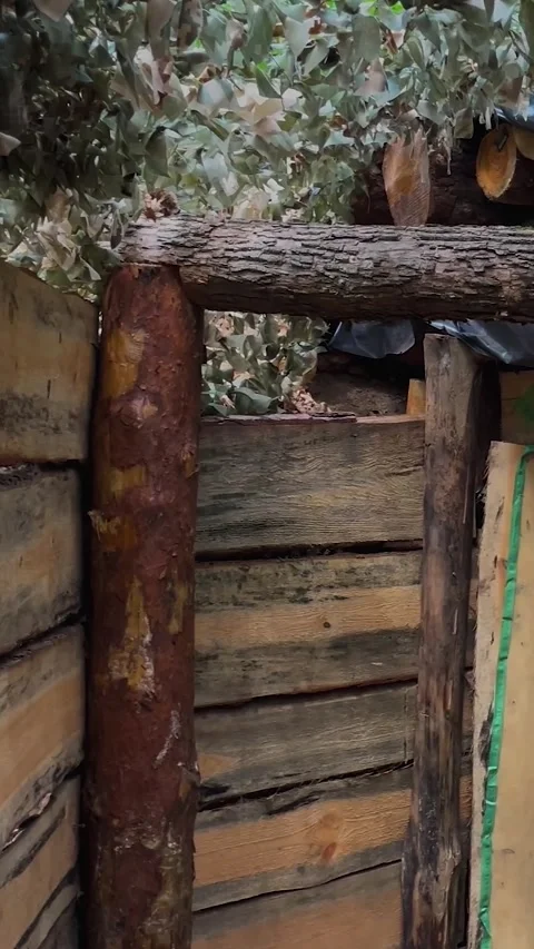 A dugout underground in the forest. Stock Footage 322099315