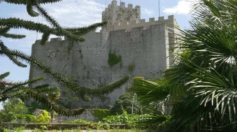Duino castle garden with beautiful plants Stock-Footage 68346503